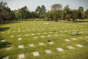 Compra-Venta Sin datos  Compra Venta